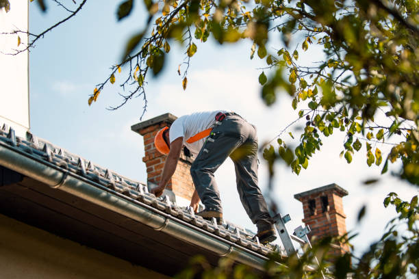 Best Emergency Roof Repair  in Jonesville, MI