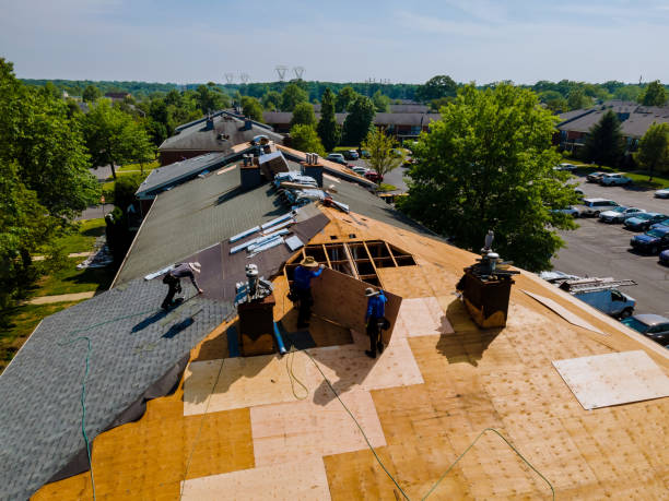 Best Best Roofing Contractors  in Jonesville, MI
