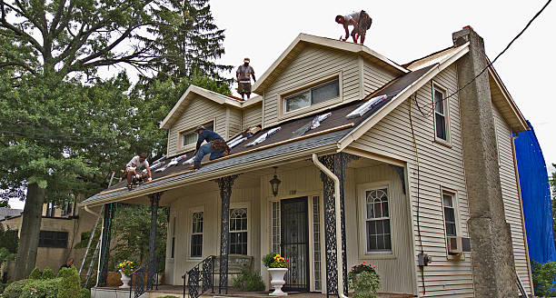 Best Roof Gutter Cleaning  in Jonesville, MI
